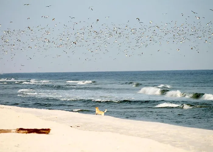 Apartamento White Pearl 2.10 *